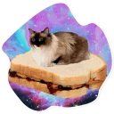 🍞 emoji SpaceCats @StikeryTG Telegram sticker 4 of 25