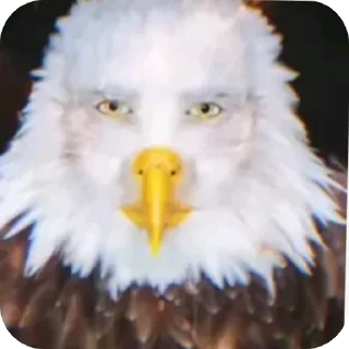 👍 emoji Пьяный чара Telegram sticker 20 of 23