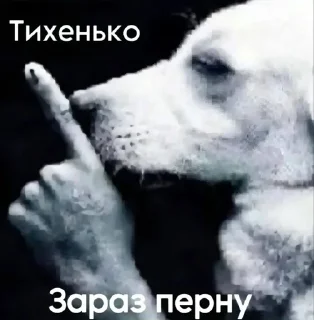 🌟 emoji мемасики богов Telegram sticker 7 of 58