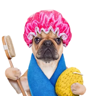 😉 emoji Палата Telegram sticker 6 of 38