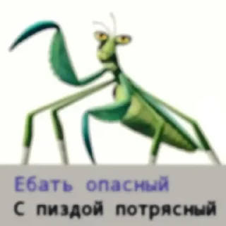 Sticker from Рандомная хуйня