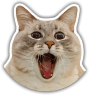 😲 emoji Funimals @potreshyalkino Telegram sticker 18 of 34
