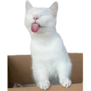 😋 emoji Funimals @potreshyalkino Telegram sticker 17 of 34