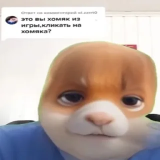 😍 emoji хамстер комбат гомяк 2024 конд Telegram sticker 22 of 72