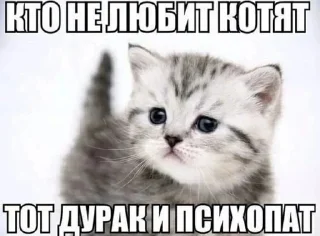 😭 emoji мемы Telegram sticker 19 of 68