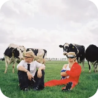 🐄 emoji 💗Joost Klein💗 Telegram sticker 22 of 120