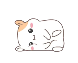Sticker from 𓆩 INSTA ⁞ DG5C | TELE ⁞ @hussione ‏𖠋 𓆪