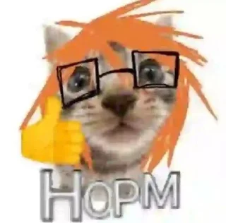 🌟 emoji Рэндал😨 @I_popal_v_veny228 Telegram sticker 6 of 39