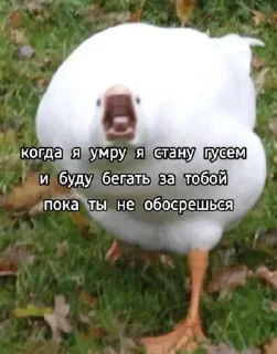😁 emoji Херня Telegram sticker 11 of 45