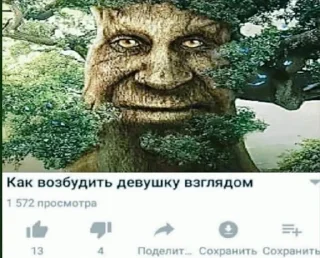 🌳 emoji Мудрый дуб Telegram sticker 18 of 120