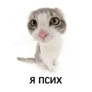 😊 emoji коты 2 Telegram sticker 7 of 32