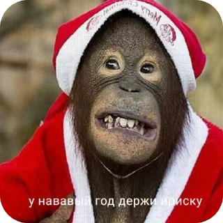 👄 emoji Пупсик Telegram sticker 17 of 31