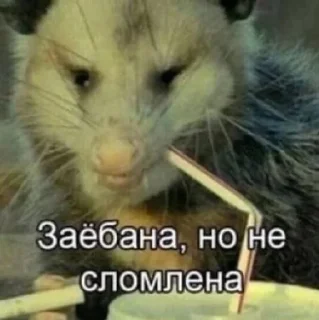 🌟 emoji Я Инна и ета мои стики Telegram sticker 21 of 93