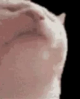 🤘 emoji Ярцево .WEBM Telegram sticker 14 of 50