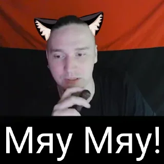 😺 emoji Котячий Рейх Telegram sticker 18 of 53