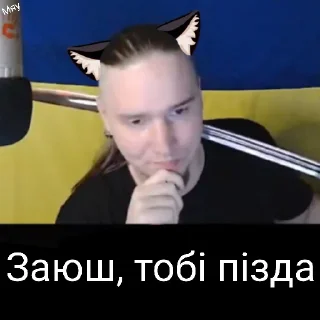 😼 emoji Котячий Рейх Telegram sticker 23 of 53