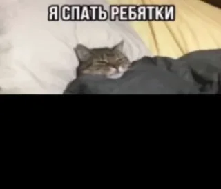 🌟 emoji Гойда Telegram sticker 12 of 38