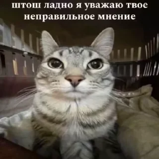 🌟 emoji Гойда Telegram sticker 9 of 38