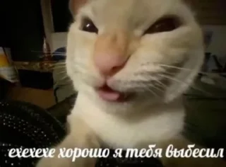 🌟 emoji Гойда Telegram sticker 11 of 38