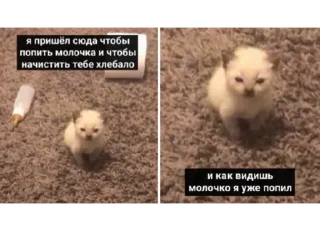😑 emoji Пак Богини Telegram sticker 17 of 120
