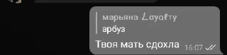 🍉 emoji Скажи арбуз-Твоя мать сдохла 2 Telegram sticker 16 of 34