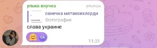 🇺🇦 emoji Котята 2.0 треш Telegram sticker 10 of 12