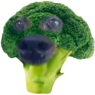 🥦 emoji Шо? Telegram sticker 24 of 72
