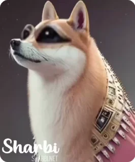 Sticker from Wild Sharbi