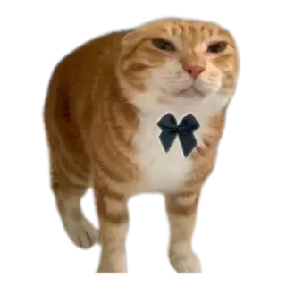 🔥 emoji Соса пж Telegram sticker 1 of 15