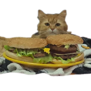 🐱 emoji Valera Edition Telegram sticker 21 of 22