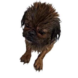 ✋ emoji Valera Edition Telegram sticker 22 of 22