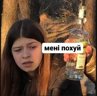 Sticker from шо з єбалом