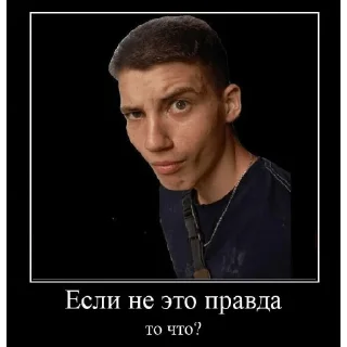 🤨 emoji А єто уже явно не моя проблема Telegram sticker 8 of 18
