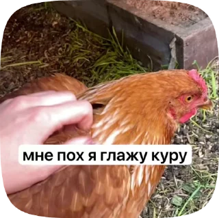 🌟 emoji Любов Telegram sticker 18 of 32