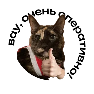 👍 emoji масяндра для выебонов Telegram sticker 19 of 27