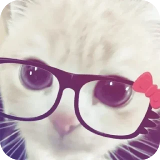 😎 emoji Kitty Telegram sticker 7 of 21
