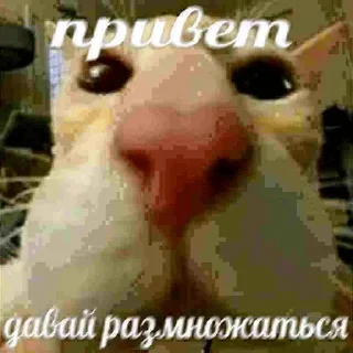 Sticker from шмонька