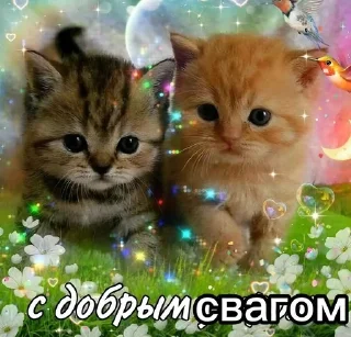 🌟 emoji swaga  имеется Telegram sticker 18 of 44