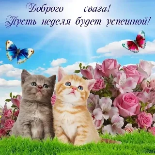 Sticker from swaga  имеется