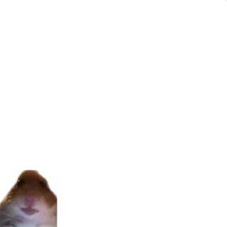 😶 emoji Шедевр?... Telegram sticker 23 of 72