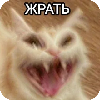 🤲 emoji Шедевр Telegram sticker 13 of 52