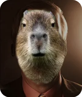 🤨 emoji Capybara228 Telegram sticker 7 of 27