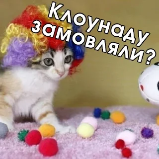 🤡 emoji ylsk Telegram sticker 22 of 67