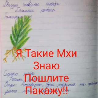 😄 emoji Смурфики квлиновка секс Telegram sticker 22 of 30