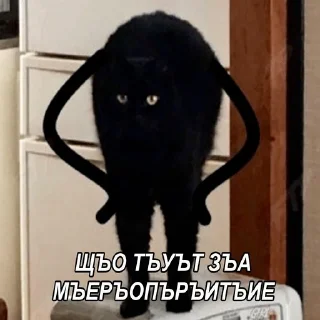 😑 emoji Шутки за 299 Telegram sticker 2 of 78