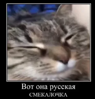 🇷🇺 emoji Favourite animated Telegram sticker 23 of 40