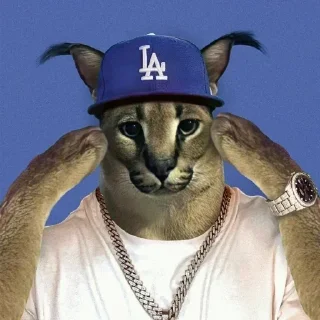 🧢 emoji Шлепок Telegram sticker 7 of 38