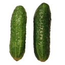 Sticker from Cucumber Essentials