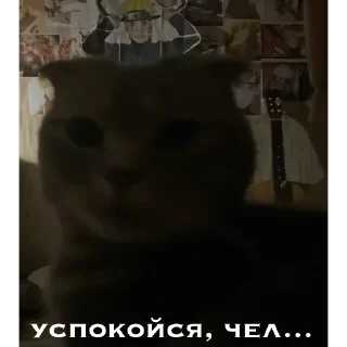 🥶 emoji генерал туся Telegram sticker 20 of 64