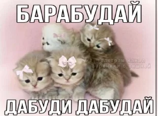 🌟 emoji Сигма эмоция Telegram sticker 23 of 98